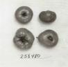 Click for 1 image(s) for this accession. FRUIT